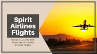 Spirit Airlines Baggage image 1